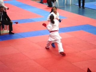 Image description